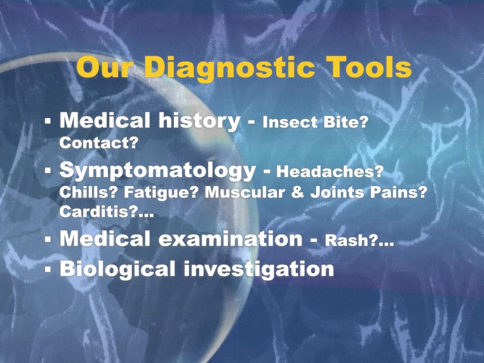 Lyme Disease