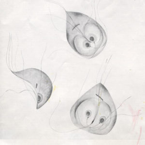 Giardiasis